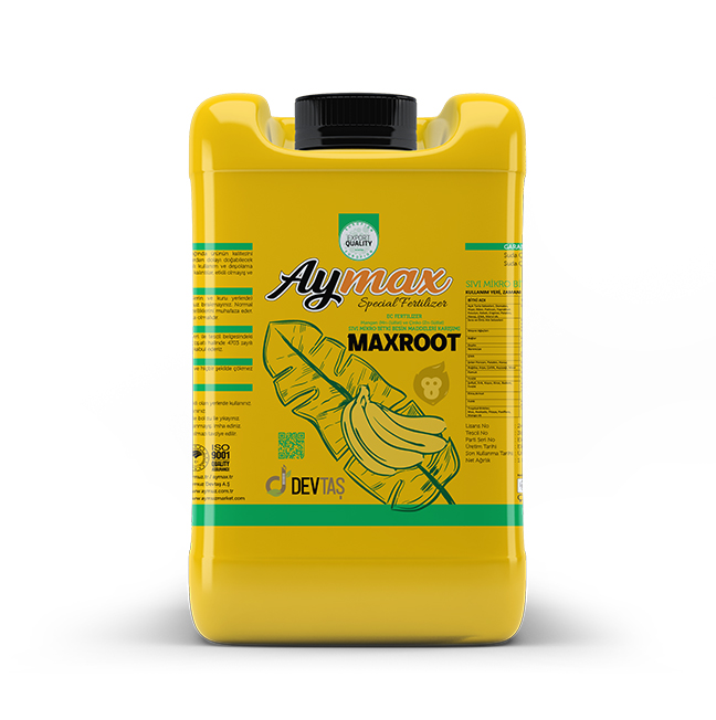 max-root.jpg