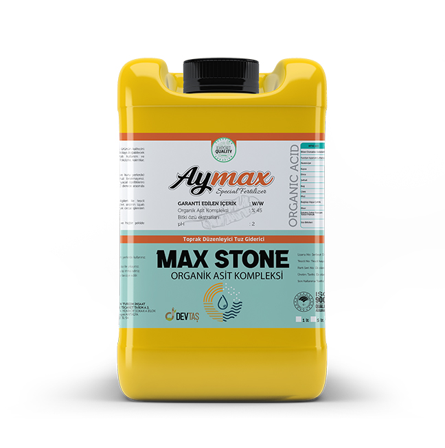 max-stone.jpg
